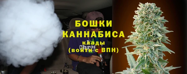 ГАЛЛЮЦИНОГЕННЫЕ ГРИБЫ Балабаново