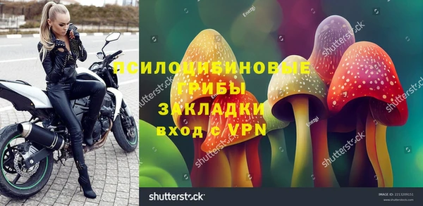 амф Балахна