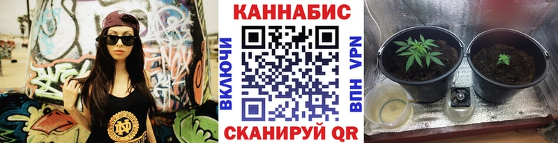 Каннабис Bruce Banner сколько стоит Городище